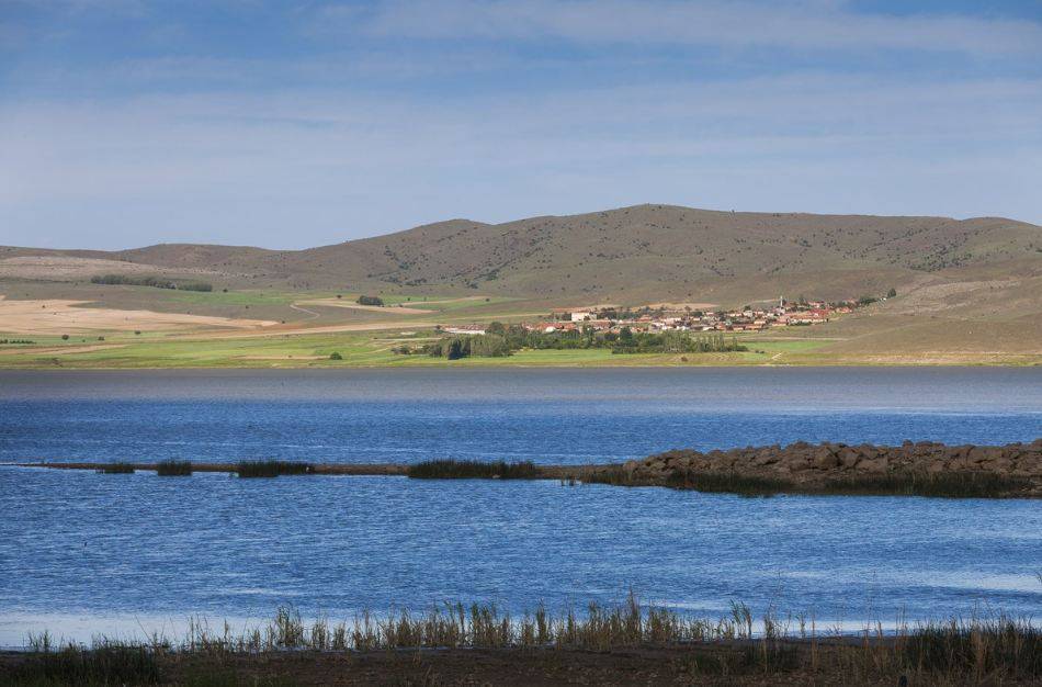 Konya’nın tektonik gölü Afrika’dan gelen misafirlerini ağırlıyor 1